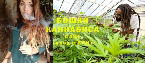 стафф Армянск