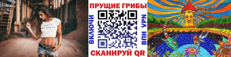 Купить где  Углич  Галлюциногенные грибы мицелий 